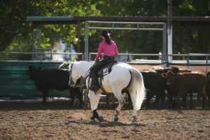 Horse Show 08