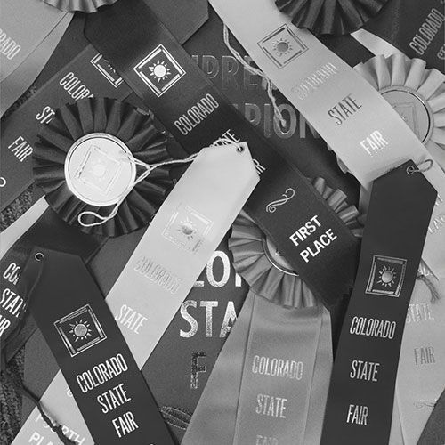 Various Colorado State Fair championship ribbons