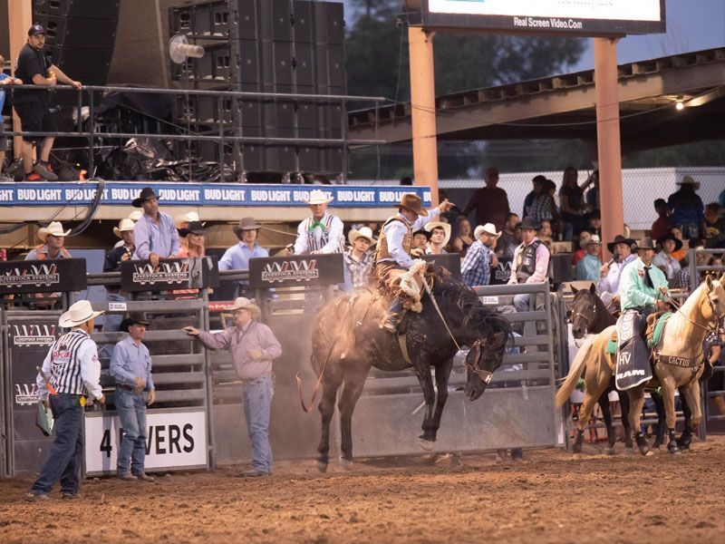 2019-Rodeo-04