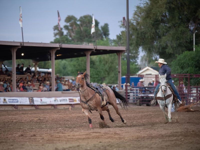 2019-Rodeo-07
