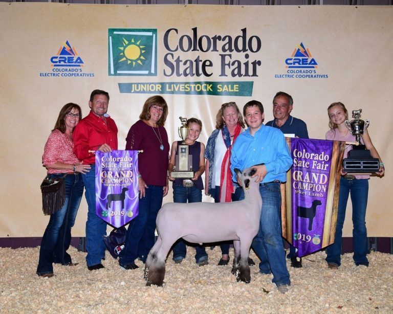 Gr_Champion_Lamb_website