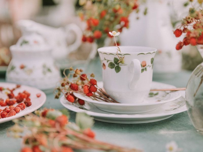 A porcelain tea cup on a saucer with wild strawberries all around