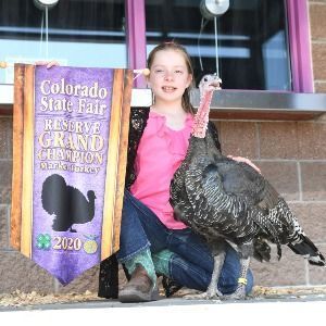 Little girl with a turkey