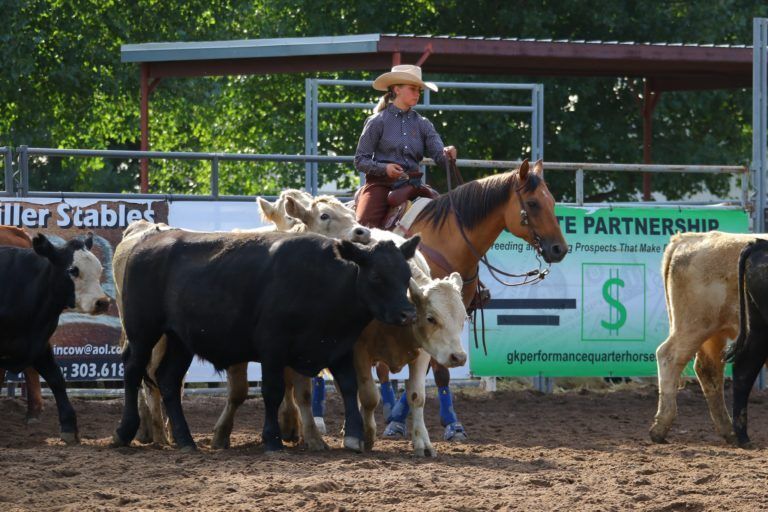 Teen girl on a horse wrangling calves at the Colorado state fair