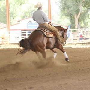 Cowgirl riding a horse during the Horse Show at the Colorado State Fair