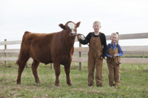 Two blonde-headed boys wearing brown work overalls stand proudly next to a cow in the field for the 4-H Club