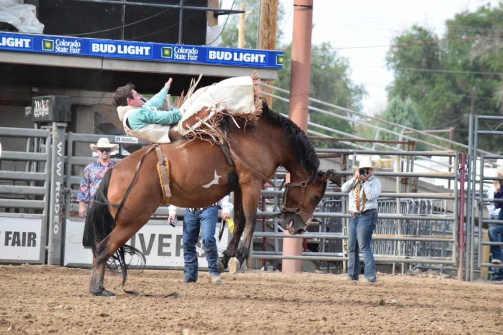 Cowboy trying to hang on to a bucking horse