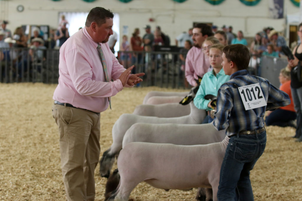 Three kids and their sheep stand in the pen at the Colorado State Fair with a judge