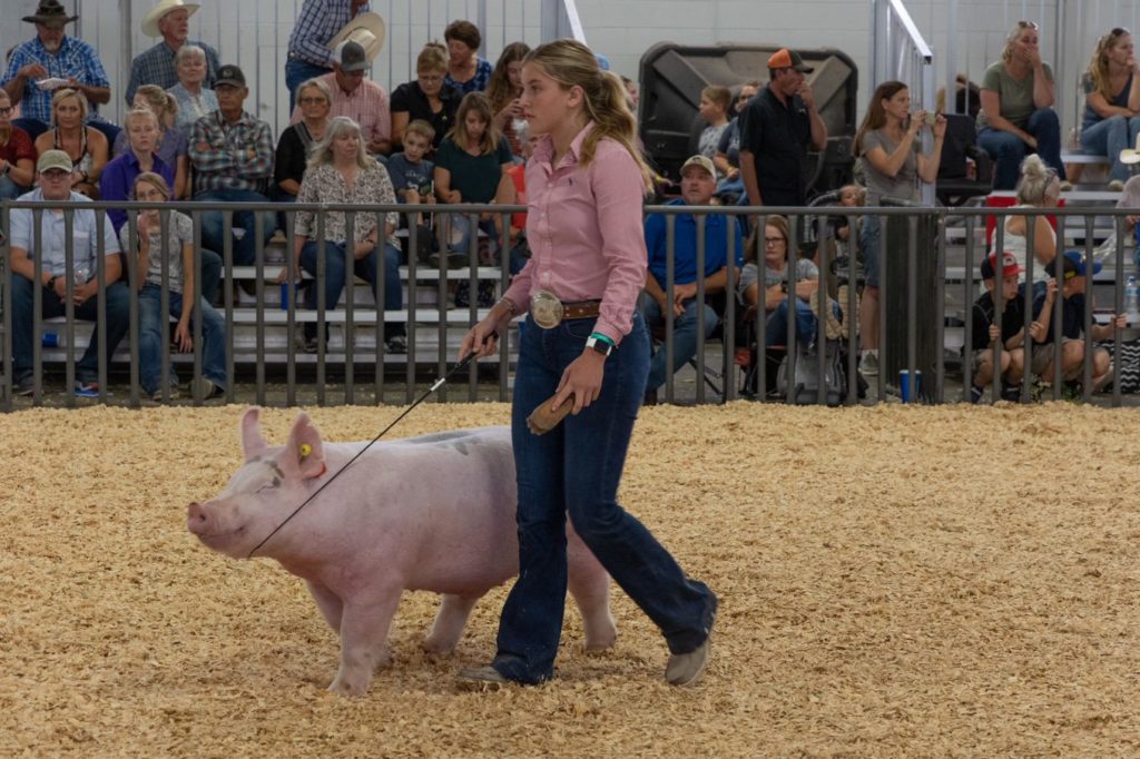 Teen girl showing pig