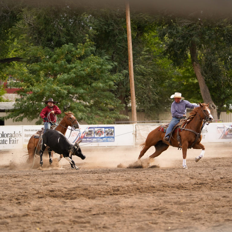 Horse Show Colorado State Fair & Rodeo